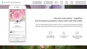 Per testare l'app, scatta una foto di una pianta che conosci. App Per Riconoscere Piante E Fiori Domande Informatiche