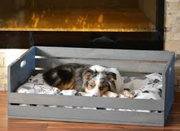 Lits En Palette 10 Idees De Couchage Pour Chiens A Faire Soi Meme Decoro 360 Votre Communaute D Inspiration Deco N Couchage Chien Lit Chien Coussin Chien