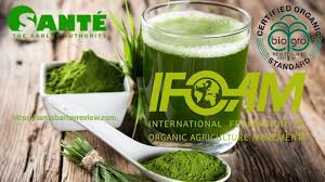 11 Life Changing Reasons To Add Barley Grass Into Your Diet Barley Grass Natural Detoxifiers Diet