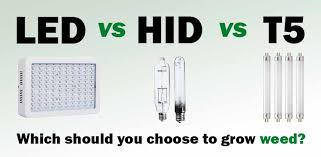What are the best led grow lights? Best Lights For Growing Weed Led Hid Or T5 Skunkology Com