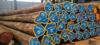 First and foremost, burma teak wood is one of the costliest and highly durable solid woods available in the country. Burma Teak Wood Logs Buy Burma Teak Wood Logs In Dindigul Tamil Nadu India