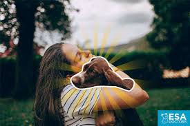 Florida Passes New 2020 Law For Emotional Support Animals What Every Esa Owner Needs To Know Esa Doctors