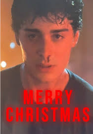 Merry Christmas. This Christmas, the lights won't just flicker, they'll  obey. Catching up