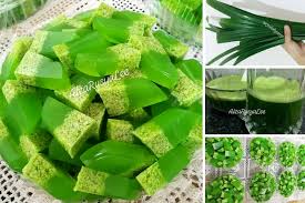 Gula pasir 400 g, dibagi menjadi dua bagian. Cara Masak Agar Agar Santan Pandan Paling Mudah