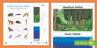 A habitat meets all the environmental conditions an organism needs to survive. Ks1 Animal Habitats For Kids Sorting Worksheet