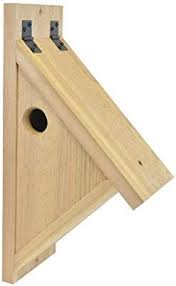 Amazon Com Backyard Boys Woodworking Bbw76 Nuthatch Nest Box Garden Outdoor Nistkasten Bauen Vogelhaus Vogelhauser Diy