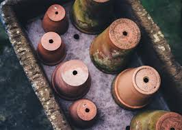 Having worked with pest control operators at large and medium sized companies across the country, we've noticed several common threads which seem to get in the. Gardening Biological Pest Control Is Best Because It S Nature S Way Kettlitz Gmbh