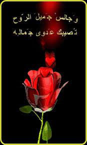 Pin By Mohamed Ieleish On Arabic Quotes Beautiful Gif Beautiful Roses Flowers Gif