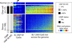 9 obstetrics and gynaecology courses found on idp malaysia. Epigenetic Analysis Leads To Identification Of Hnf1b As A Subtype Specific Susceptibility Gene For Ovarian Cancer Nature Communications