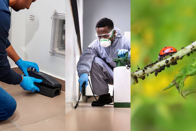 What Are the 3 Methods of Pest Control