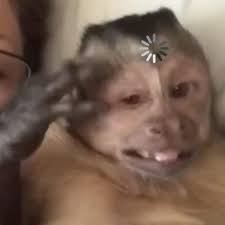 Do you remember.......🙄🤔