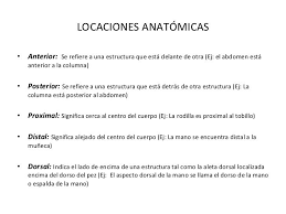 Pin En Anatomia De La Cara