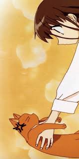 After tohru is taken in by the soma family, she learns that twelve family members transform involuntarily into animals of the chinese zodiac and helps them deal with the emotional pain caused by the transformations. Fruits Basket Wallpaper Fruits Basket Anime Fruits Basket Fruit Basket Anime