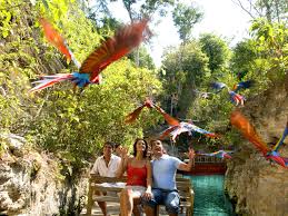 This printable map of xcaret will allow you to plan your visit better and make sure you don't get lost while exploring this. Must Do Activities At Xcaret