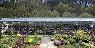 Maybe you would like to learn more about one of these? Newbank Halifax Newbank Garden Centre