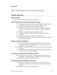 The role of carbohydrate, fat and protein as fuels for aerobic and anaerobic energy production. How Cells Harvest Chemical Energy