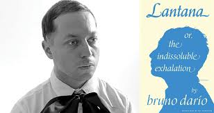 Singing, Electric, Body: A Review of bruno darío's Lantana or, the  indissoluble exhalation