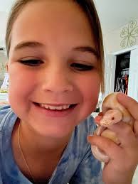 Are there any bug or rat/mouse breeders in the Grand Rapids area that I  could buy in bulk from