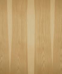 نتیجه جستجوی لغت [hickory] در گوگل