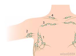 Check spelling or type a new query. What Are Axillary Lymph Nodes With Pictures