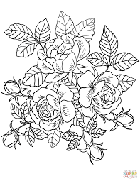 Coloring pages of flowers in excellent quality. Rose Coloring Pages For Teenagers Novocom Top