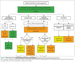 Image result for Hemorrhage Classification