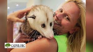 2018 Update from Corporal Dan Stiles, Georgia DNR