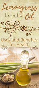 Pin On Essential Oils