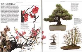 They are produced in very limited numbers. The Complete Book Of Bonsai A Practical Guide To Its Art And Cultivation Tomlinson Harry 9781558591189 Amazon Com Books