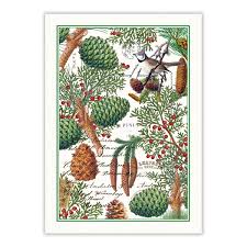 Spruce Pine Cones Decorative Holiday Kitchen Towel Decorative Kitchen Towels Holiday Kitchen Towel Kitchen Towels