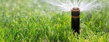 Trustworthy solutions for residential & commercial properties. Yakima Lawn Care Services Pest Control Tree Service