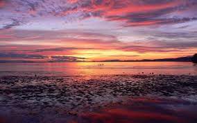 Hd wallpapers and background images. Beach Sunset Backgrounds Wallpaper Cave