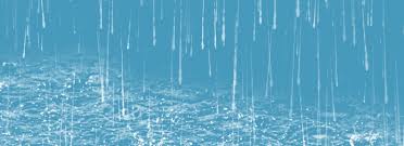 Provided to youtube by sequence sequence limited wet rain · forest ambience · rain, hurricane & thunder storms sounds # loopable showers ℗ 2019 cowardship. Free Rain Rain Rain Background Images Rainy Day Wet Rain Bamboo Leaves Photo Background Png And Vectors