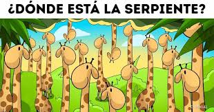 We did not find results for: 300 Ideas De Juegos Mentales E Ilusiones Opticas Juegos Mentales Ilusiones Opticas Ilusiones