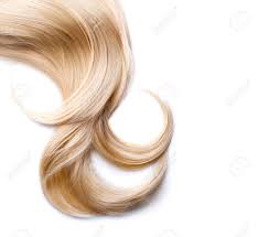 Flat lay with copy space. Blond Hair Isolated On White Blonde Lock Closeup Stock Photo Picture And Royalty Free Image Image 32974040