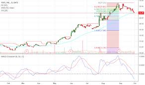 Yext Stock Price And Chart Nyse Yext Tradingview