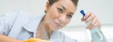 Hiring A Maid In Singapore Without An Agency Msig Singapore