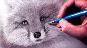 How To Draw A Fox - Youtube