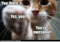 25 Best You Are Awesome Memes You Are Memes Point You Memes