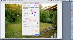 Xnview is a free software for windows that allows you to view, resize and edit your photos. Xnviewmp Xnview Full Xnview Mp Xnview Com Xnviewmp Free And Safe Download Flor Beach