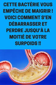 Cette Bacterie Vous Empeche De Maigrir Voici Comment S En Debarrasser Et Perdre Jusqu A La Moitie De Votre Surpoids Alimentation Et Nutrition Degonfler Ventre