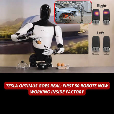 Tesla Optimus Workplace Edition — image 6