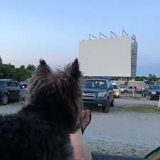 Here are some of our picks to. Admiral Twin Drive In Tulsa 2021 All You Need To Know Before You Go With Photos Tripadvisor