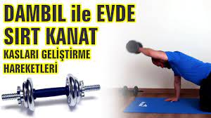 dambil ile evde sirt kanat kaslari gelistirme hareketleri kanatlar pilates egzersizleri spor