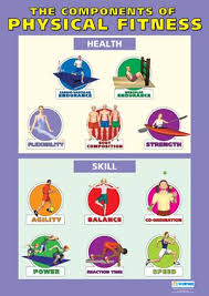 Total fitness can be defined by how well the body performs in . 33 Hra Ideas In 2021 Physical Education Gcse Pe Health And Physical Education