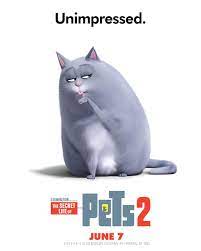Lake Bell Is Chloe The Pets Return This Summer In The New Movie The Secret Life Of Pets 2 Coming To Theaters June 7 20 Secret Life Of Pets Pets Secret Life
