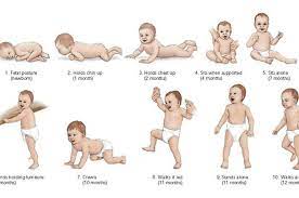 Tahapan perkembangan bayi 9 bulan dalam kandungan. 12 Momen Emas Bayi Yang Sebaiknya Jangan Dilewatkan Nakita