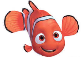 Scott Murrell (@smurrell10)