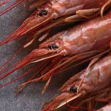 Buy Tiger Prawns For Online Delivery | Evergreen Seafood Singapore