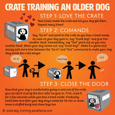 While this is a widely held belief, there is little evidence to support it. Crate Training An Older Dog The Positive Way